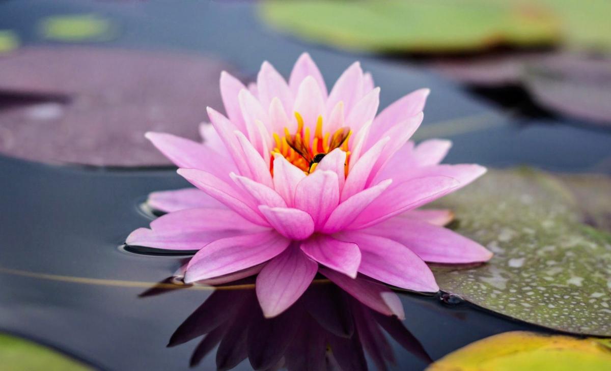 Most people believe they deserve good karma more than others