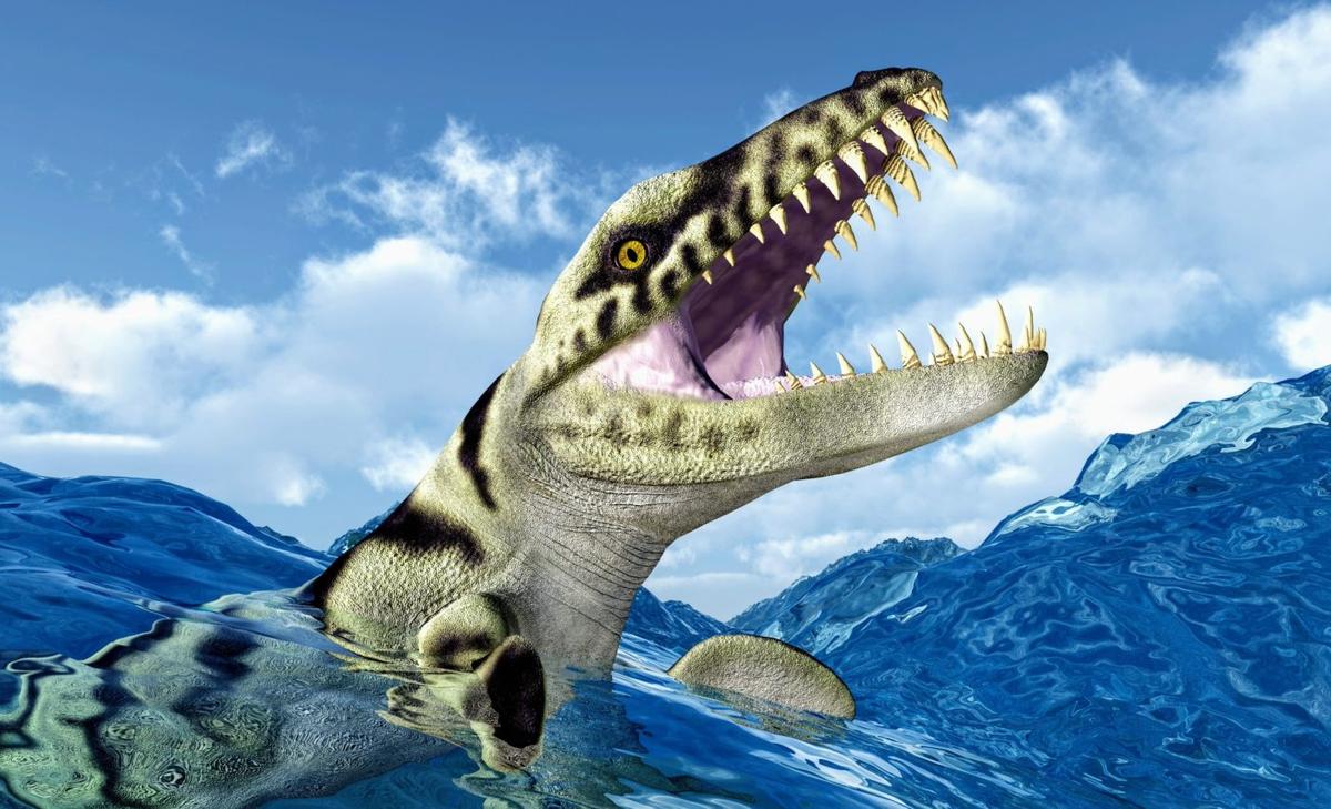 Climate chaos caused a mass extinction of top marine predators