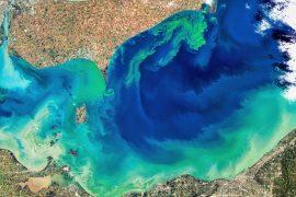 2025/05/Lake-Erie-toxic.jpg