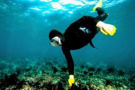 2025/05/Divers-genes.jpg