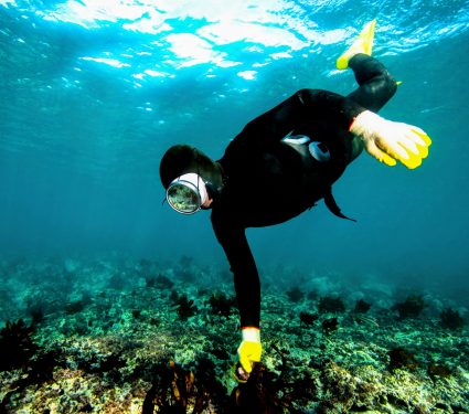 2025/05/Divers-genes.jpg