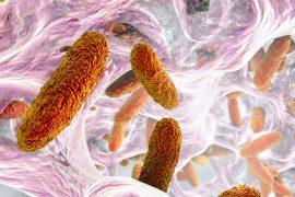 2025/05/Viruses-bacterial-populations.jpg