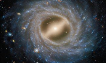 2025/05/NGC-5335-.jpg