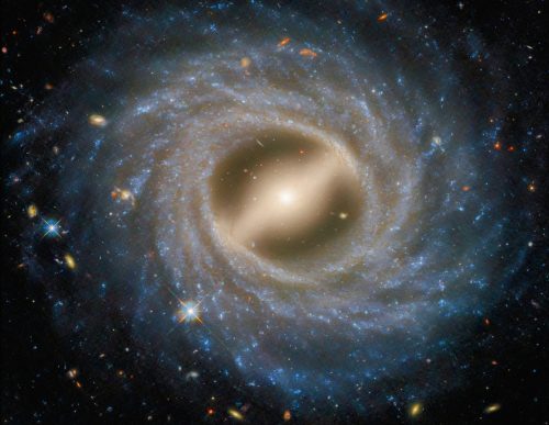 2025/05/NGC-5335-.jpg