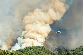2025/05/Fire-seasons2.jpg