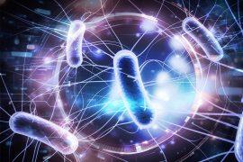 2025/05/Bacteria-electricity.jpg