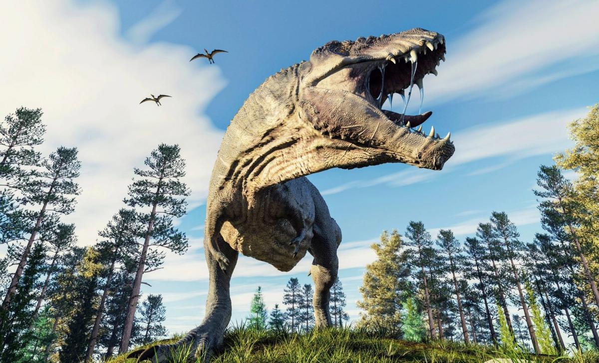 T. rex’s ancestors may have walked from Asia to North America