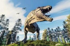 2025/05/T.-Rex-Asia.jpg