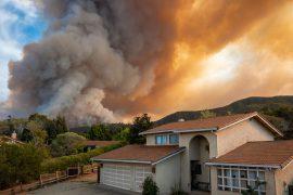 2025/05/wildfire-smoke-deaths.jpg