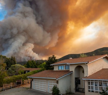 2025/05/wildfire-smoke-deaths.jpg