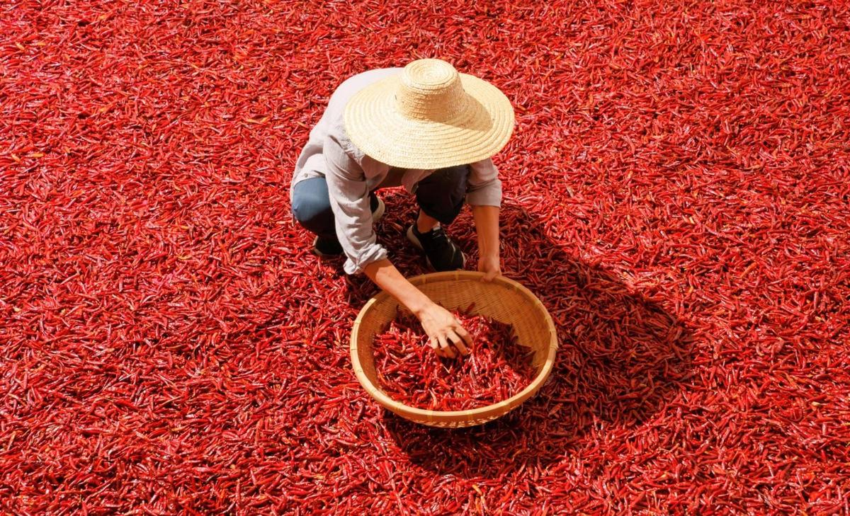 Unexpected climate changes hit crop yields harder than predicted