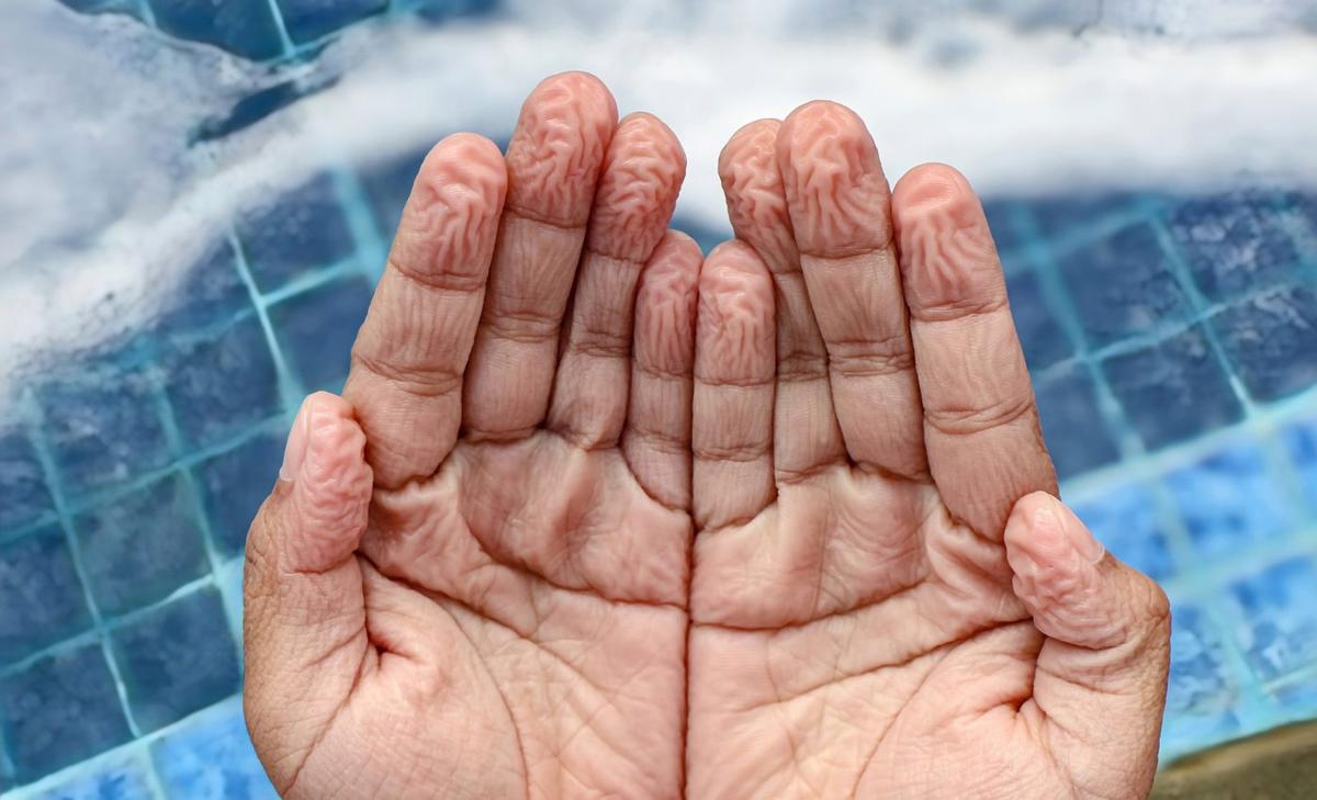 Finger wrinkles from water could help solve crimes