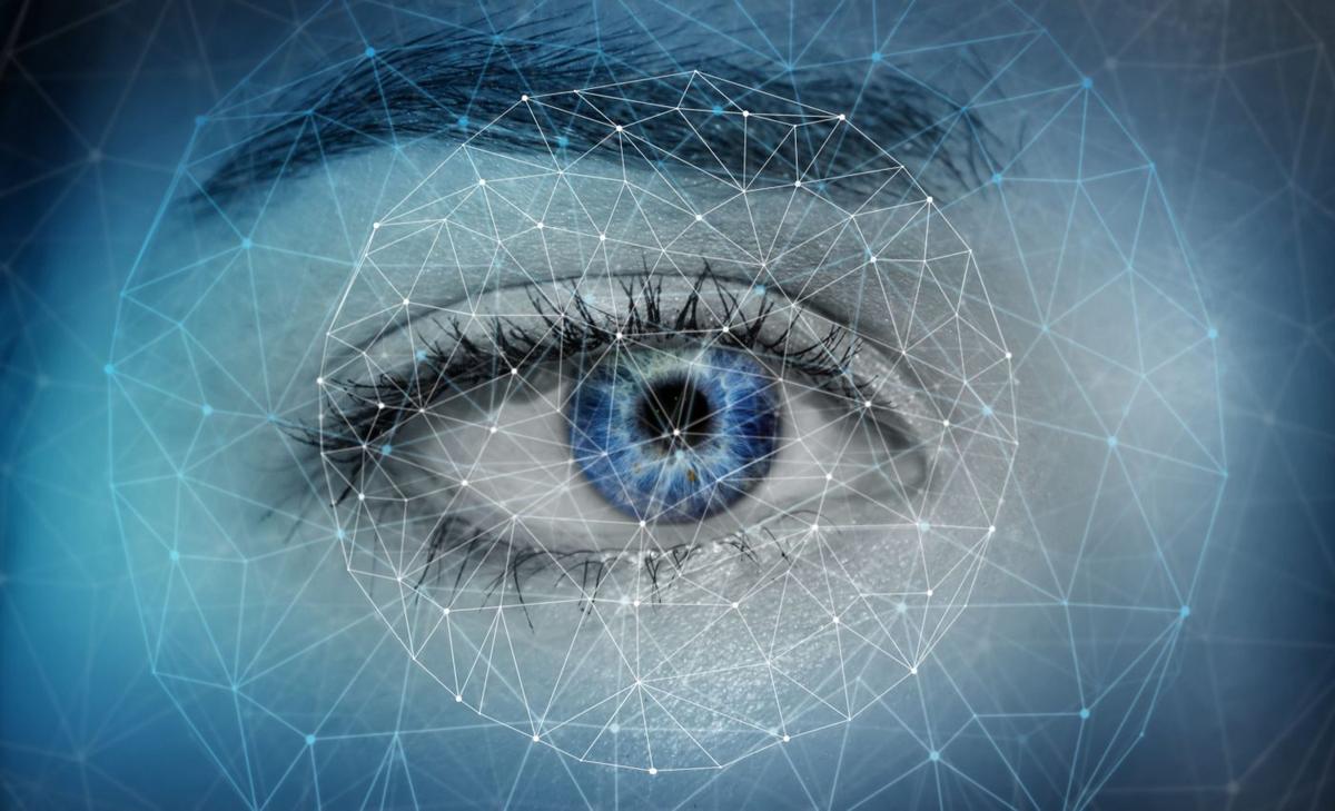 How the brain splits vision and puts it back together