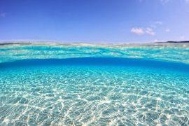 Underwater,Sea,Level,Split,Photo,Of,Beautiful,Paradise,Turquoise,Exotic