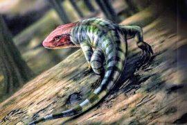 2025/05/Reptile-evolution.jpg