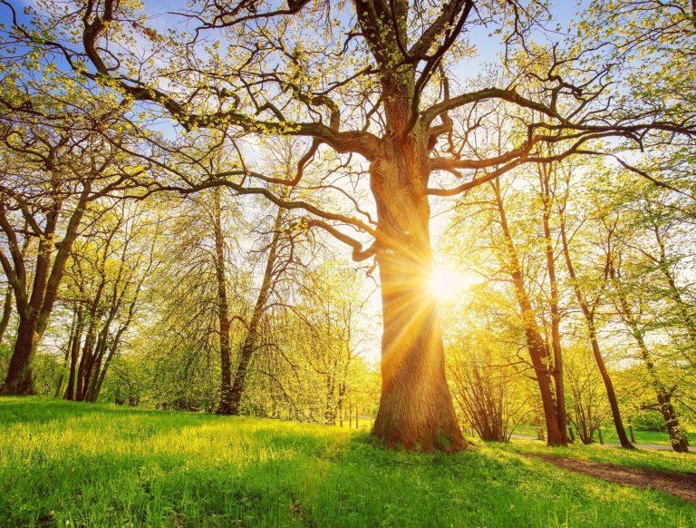 2025/05/Nature-habits.jpg