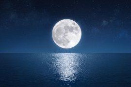 2025/05/Moon-side2.jpg