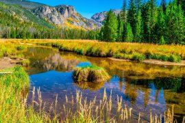 2025/05/Wetland-mercury.jpg