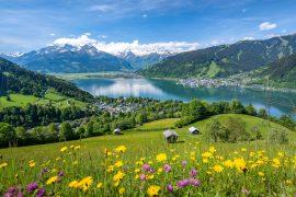 2025/05/Alpine-Spring.jpg