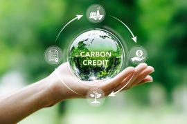 2025/05/Carbon-credits.jpg