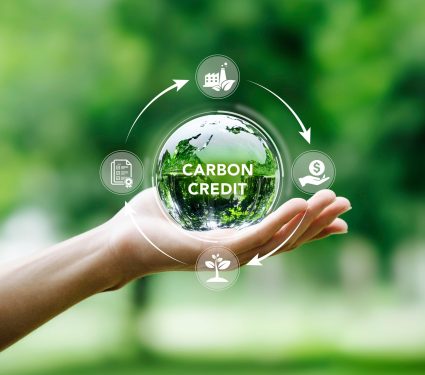 2025/05/Carbon-credits.jpg