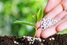 2025/05/Fertilizer-drought.jpg