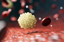 2025/05/processed-foods_blood-test_molecules_1m.jpg