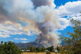 2025/05/Ocean-wildfire.jpg