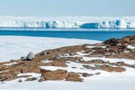 2025/05/Polar-ice-sheets.jpg