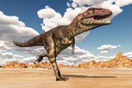 2025/05/Dinosaur-footprint.jpg