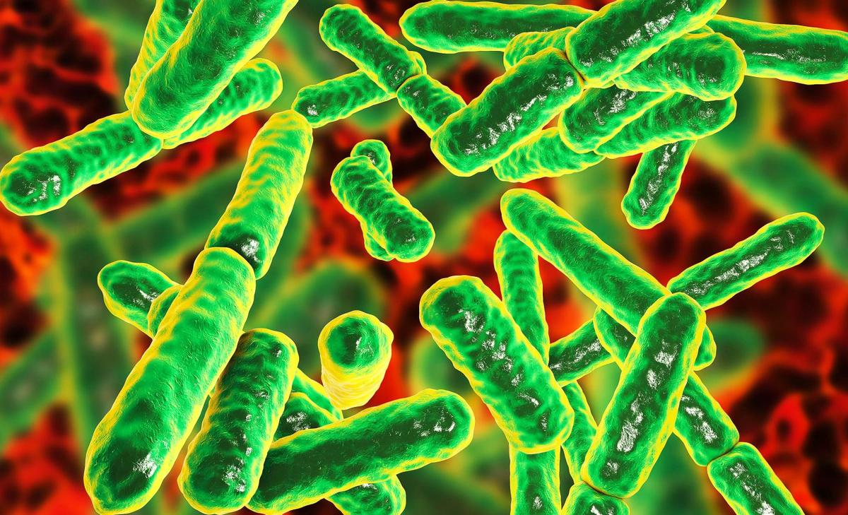 Bacteria found on Chinese space station has never been seen on Earth or anywhere else