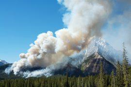 2025/05/Southern-wildfire.jpg