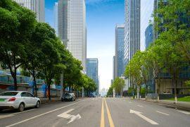 2025/05/street-greenery.jpg