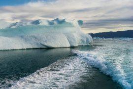 2025/05/Ocean-carbon2.jpg