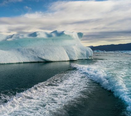 2025/05/Ocean-carbon2.jpg