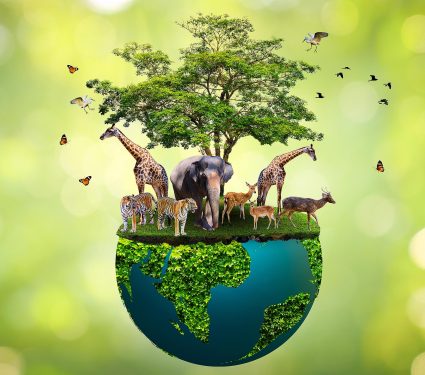Concept,Nature,Reserve,Conserve,Wildlife,Reserve,Tiger,Deer,Global,Warming