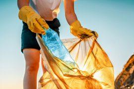 2025/06/World-Environment-Day-.jpg