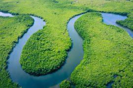 2025/06/river-carbon-2.jpg