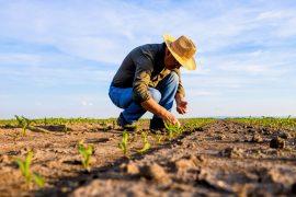 2025/06/Atmosphere-drought.jpg