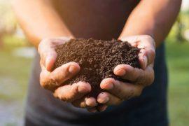 2025/06/Antibiotic-resistance-soils.jpg