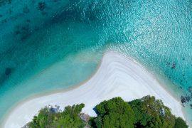 2025/06/Pacific-sediment.jpg