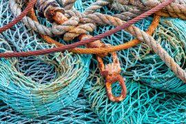 2025/06/Seamount-trawling.jpg