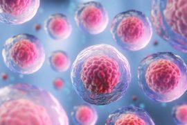 2025/06/Cell-electrical-signals.jpg