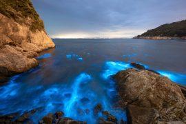 2025/06/Phytoplankton-ocean.jpg