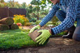 2025/06/urban-turfgrass.jpg