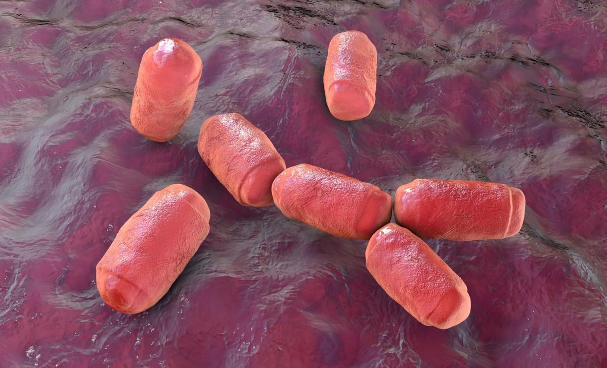 What methane in your gut says about your diet