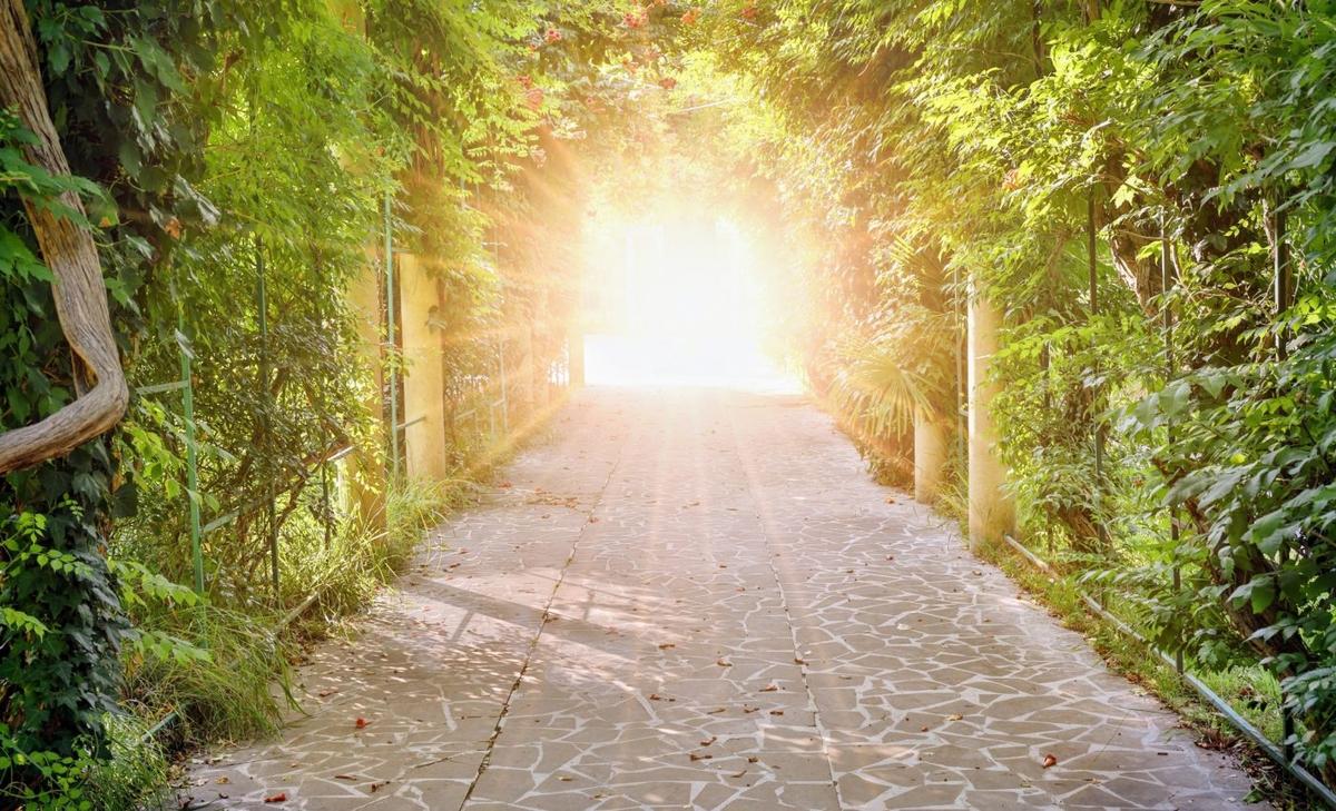 Religious leaders of all faiths ate 'magic mushrooms' in a scientific study, and it changed their lives