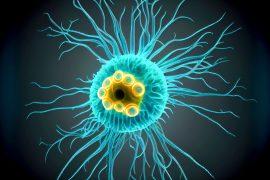 2025/06/Hungry-bacteria.jpg