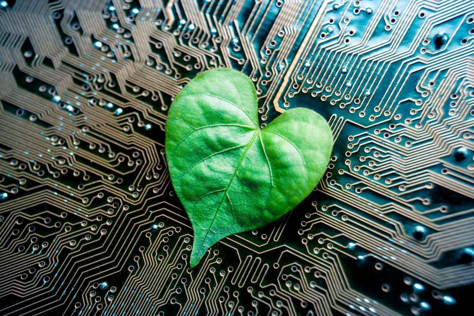 We cannot rely on technology alone for carbon dioxide removal