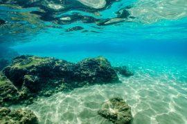 2025/06/Oxygen-ocean.jpg